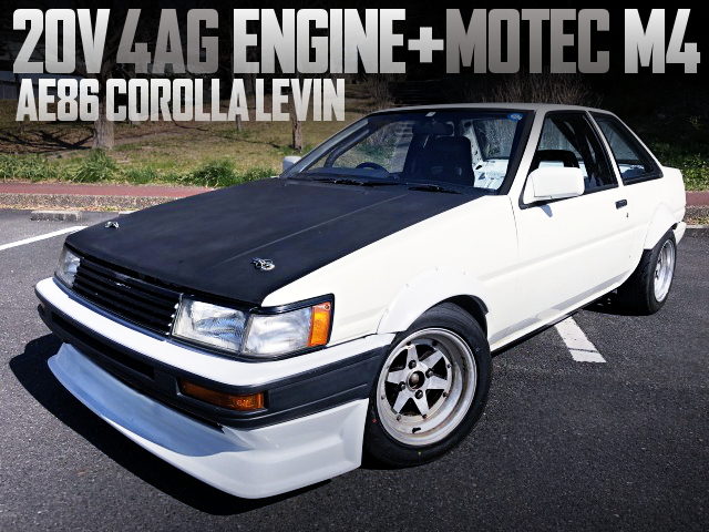 20V 4AG ENGINE AND MOTEC M4 WITH AE86 LEVIN