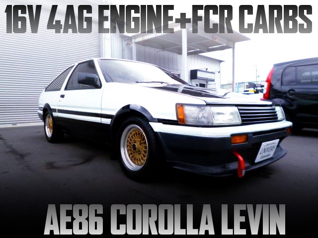 16V 4AG with FCR CARBS of AE86 LEVIN PANDA COLOR