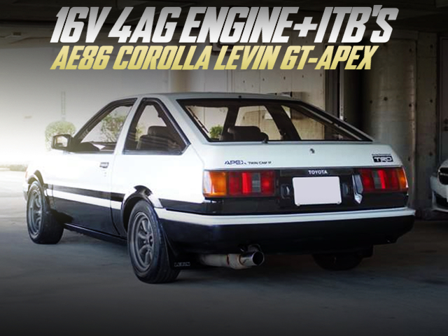 16V 4AG WITH ITBs INTO A AE86 LEVIN GT-APEX TO PANDA TWO-TONE