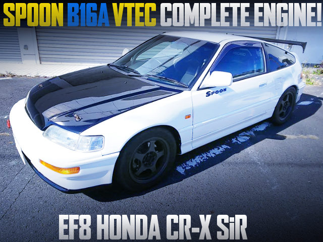 SPOON B16A VTEC COMPLETE ENGINE INTO EF8 CR-X SiR