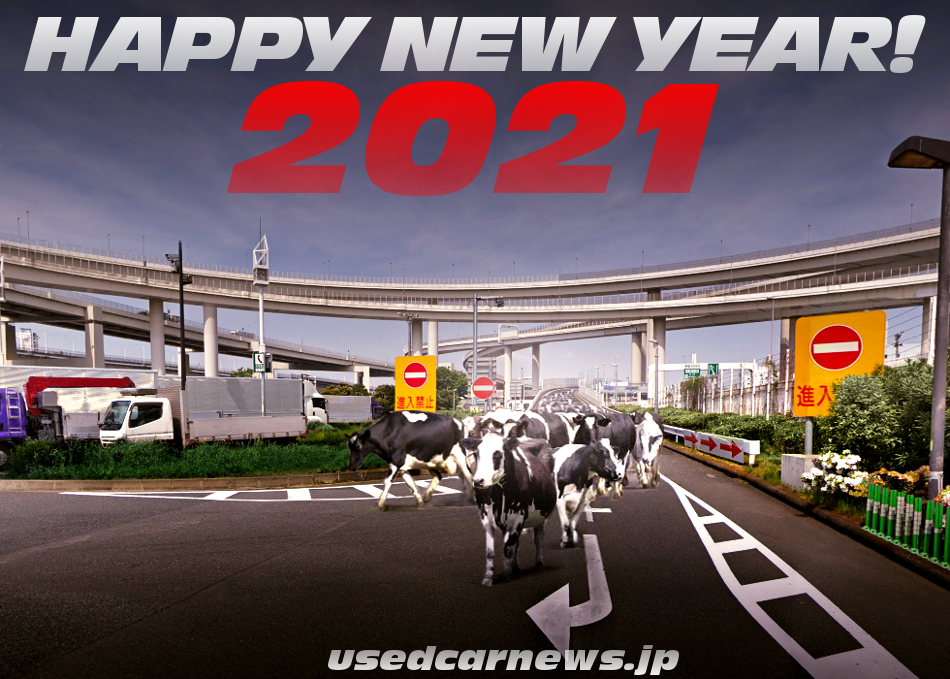 happy New Year 2021 to cow.