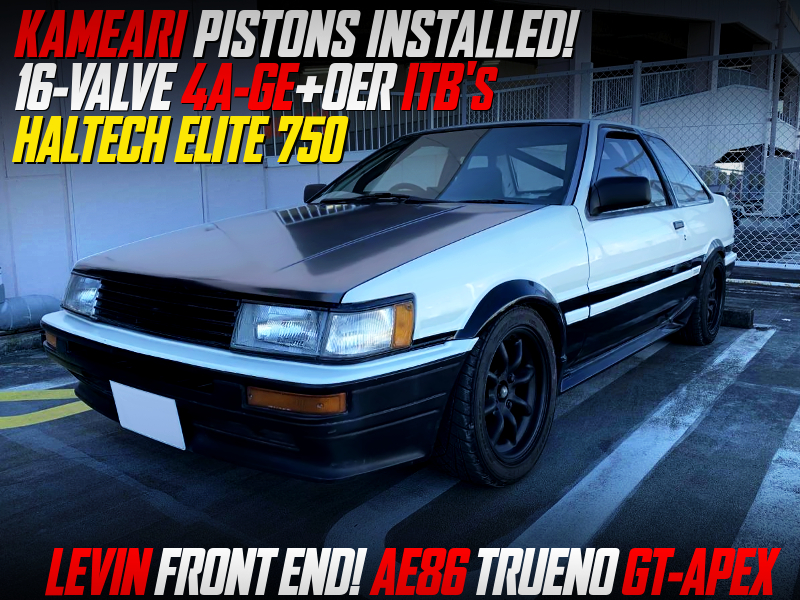 16V 4AG with ITBs And HALTECH ELITE 750 INTO AE86 TRUENO to LEVIN FRONT END CONVERSION.