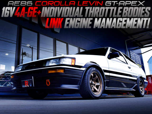16V 4AGE with ITBs and LINK ECU MODIFIED AE86 LEVIN GT-APEX.