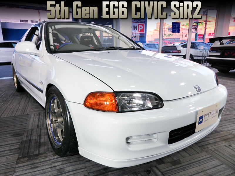 ROLL CAGE and 4-POT CALIPER MODIFIED EG6 CIVIC SiR2.