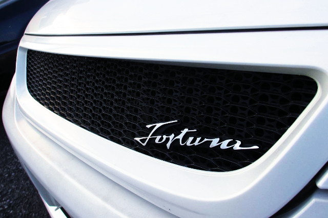 FORTUNA FRONT GRILL.