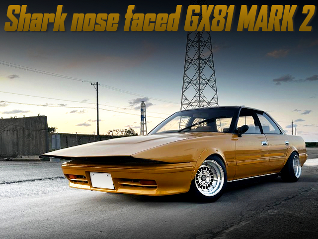 Shark nose faced GX81 MARK 2.