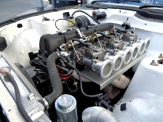 L28 With Carbs.