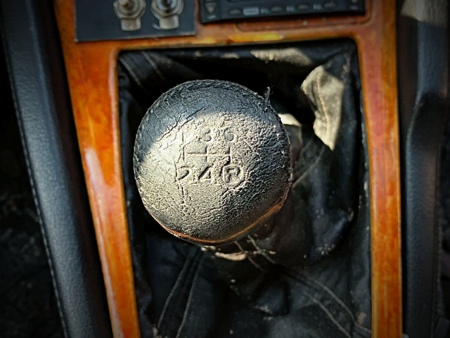 5-speed manual shift knob.