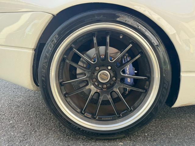 Rear Rim and Central 20 caliper.