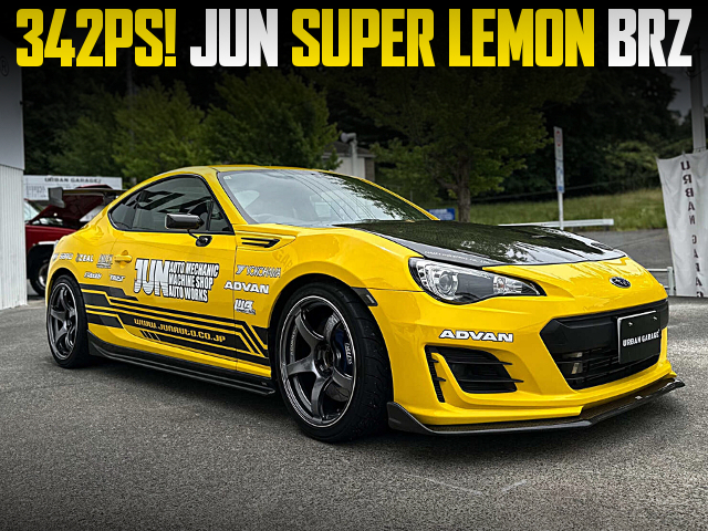 342PS JUN SUPER LEMON BRZ.