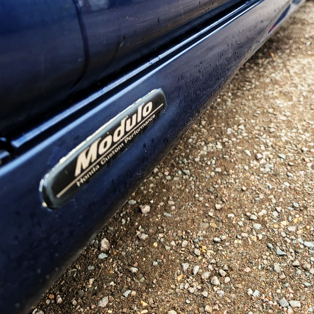 Modulo emblem.