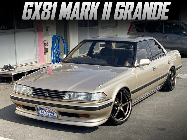 Modified GX81 MARK II GRANDE.