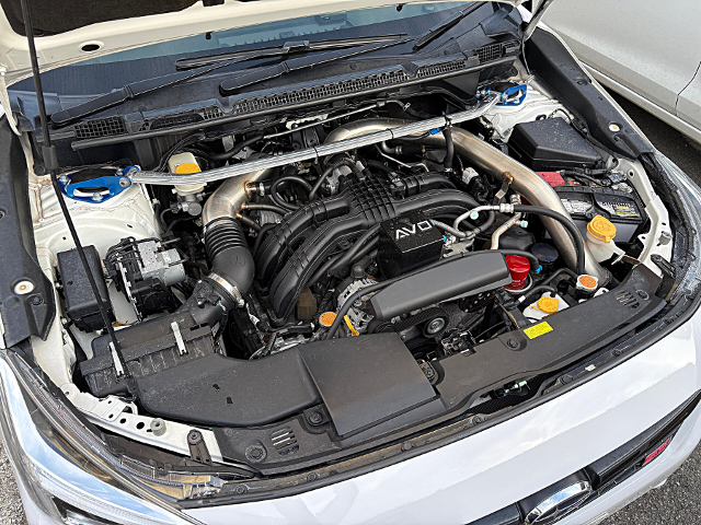 FB20 With AVO TURBO KIT.